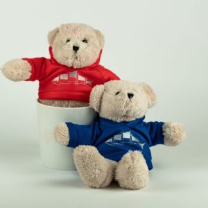 03-2025_Merch Teddy